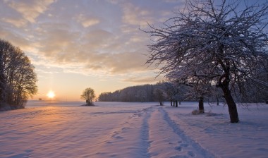 Winterlandschaft Lorsch